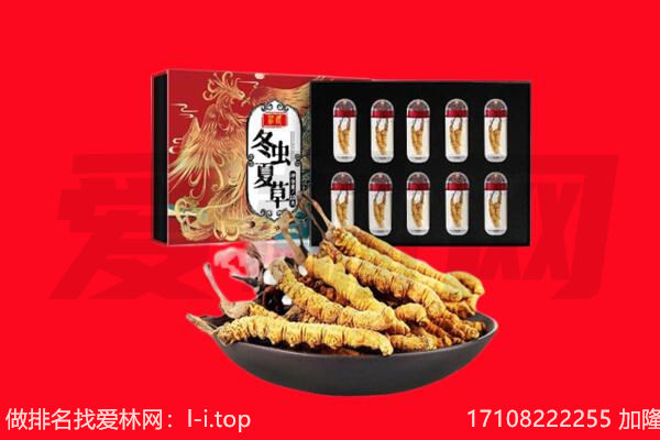 贵港回收虫草.jpg